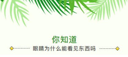 你知道眼睛为什么能看见东西吗